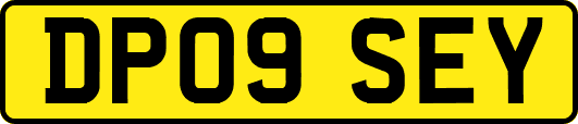DP09SEY