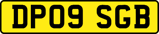DP09SGB