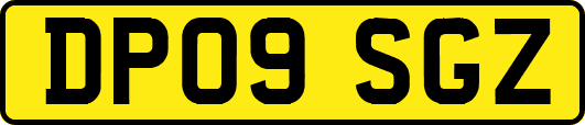 DP09SGZ