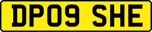 DP09SHE