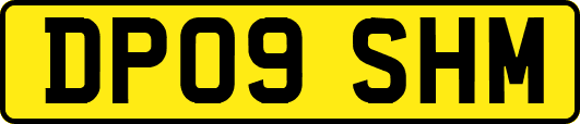 DP09SHM