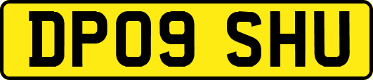 DP09SHU
