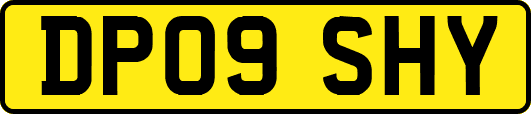 DP09SHY