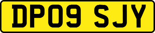 DP09SJY