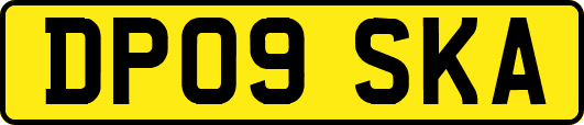 DP09SKA