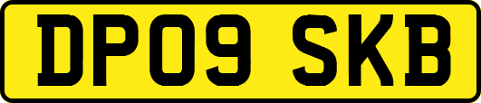 DP09SKB