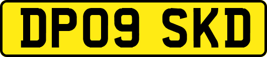 DP09SKD