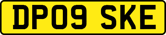 DP09SKE
