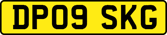 DP09SKG