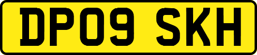 DP09SKH