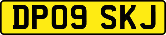 DP09SKJ