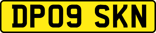 DP09SKN