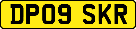 DP09SKR
