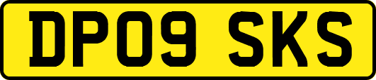 DP09SKS