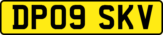 DP09SKV