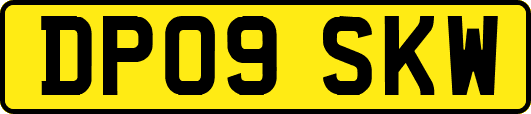 DP09SKW