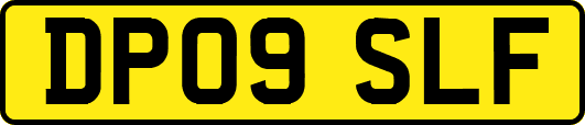 DP09SLF