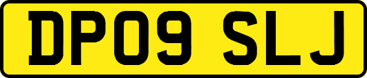DP09SLJ