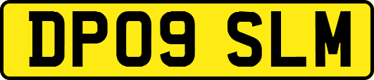 DP09SLM