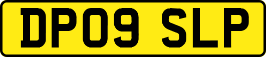 DP09SLP
