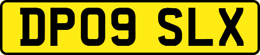 DP09SLX