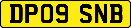 DP09SNB