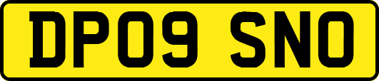 DP09SNO