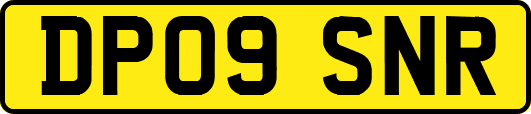 DP09SNR