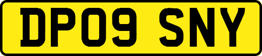 DP09SNY