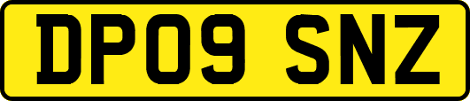 DP09SNZ