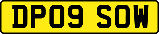 DP09SOW