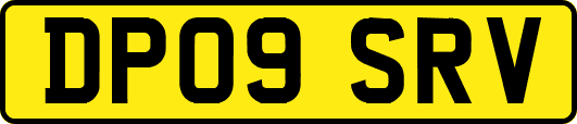 DP09SRV