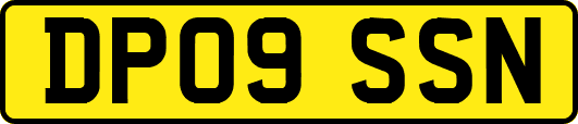 DP09SSN