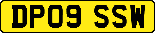 DP09SSW