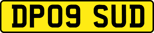 DP09SUD
