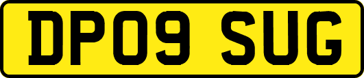 DP09SUG