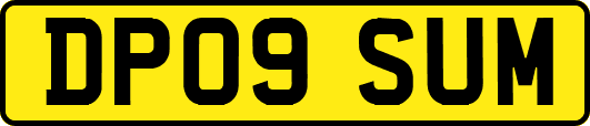 DP09SUM