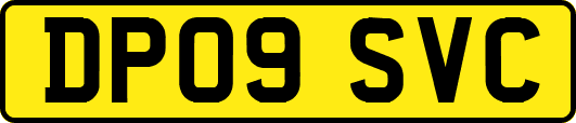 DP09SVC