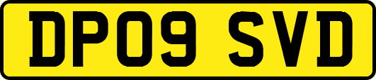 DP09SVD