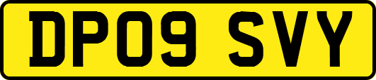 DP09SVY