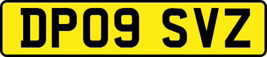 DP09SVZ