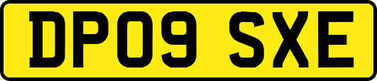 DP09SXE