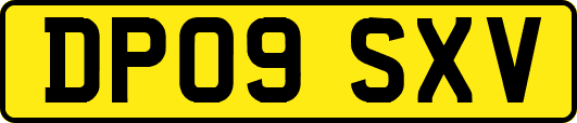 DP09SXV