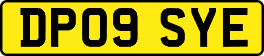 DP09SYE