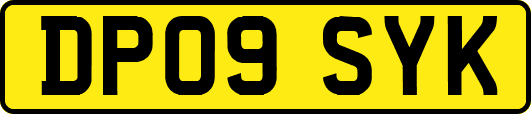 DP09SYK