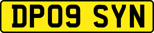 DP09SYN