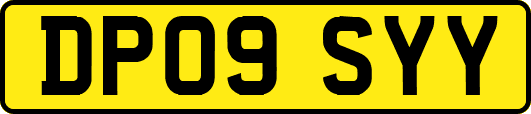 DP09SYY