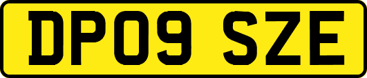 DP09SZE