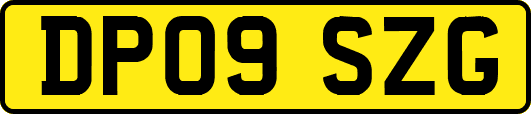 DP09SZG