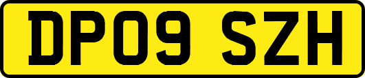 DP09SZH
